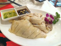 白切鸡-津津菜馆(绝没分店)