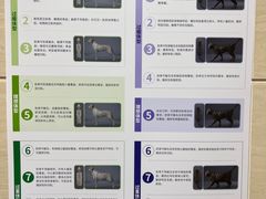 -北京观赏动物医院·24小时大型综合·猫专科·异宠专科