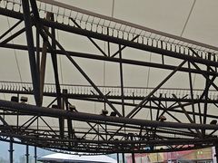 -移动谜城·大笨象密室逃脱(五棵松店)