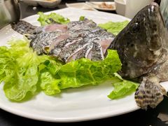 石斑鱼-吉友粥底火锅(方斜路店)