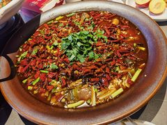 -情妹耙泥鳅·江湖川菜(科华店)