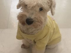 -共舞时光猫咖·狗咖(新街口店)
