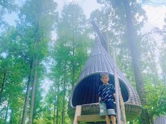 -黄海国家森林公园