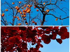 -周口店坡峰岭风景区