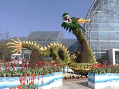 -南山植物园