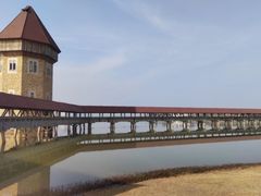 -九龙湖公园