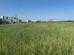 -白鹭湾湿地公园