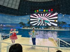 -泉城欧乐堡海洋极地世界