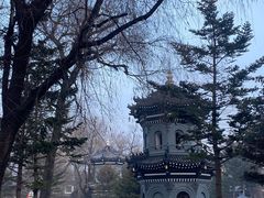 -哈尔滨极乐寺