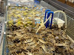 -半岛听涛蒸汽海鲜自助(K11店)