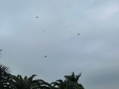 -白鹭洲公园