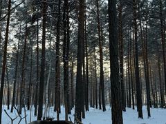 -北极村旅游风景区