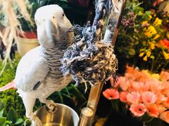 -森野花艺培训·企业团建活动沙龙