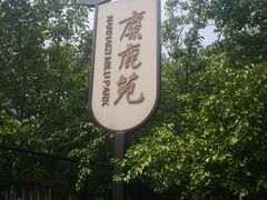 -北京麋鹿生态实验中心