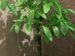 -中粮·祥云小镇