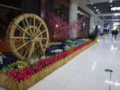 -丽江三义国际机场