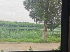 -素心小筑(后沙裕镇店)
