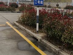 -安飞驰驾校·学车连锁(金高店)