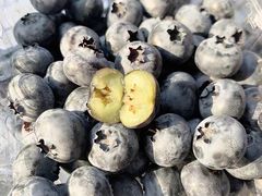 蓝莓-百果园PAGODA(建业如意家园店)