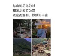 -杨家堂村
