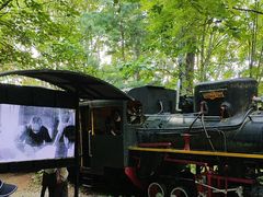 -五营红松林海景区