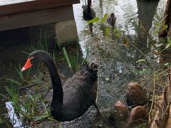 -昆山城市生态森林公园