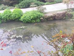-中国茶叶博物馆(双峰馆区)