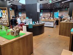 -sundanpulse顺电·脉(海岸城购物中心店)