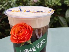 -大青树咖啡(大理古城店)