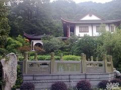 老龙井御茶园-十八棵（老龙井）御茶园(老龙井店)