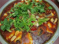 -天鹅到家·保姆月嫂育儿嫂(朝阳店)