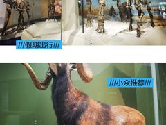 -国家自然博物馆