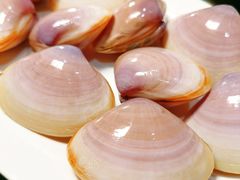 -凯华海鲜火锅·传承三十六年