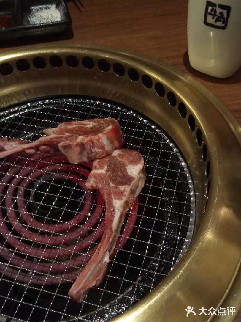 肉食动物必打卡