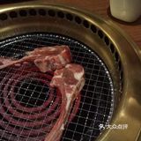 肉食动物必打卡