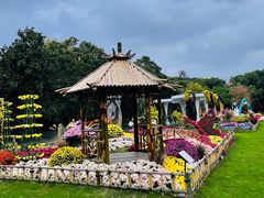 -上海共青森林公园