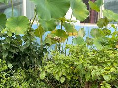 -姥家大锅台水库渔家