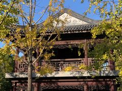 -同得兴 Since·1995 传统苏式面馆(嘉馀坊店)