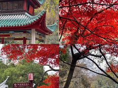 -岳麓山风景名胜区