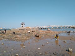 -兴城海滨风景区