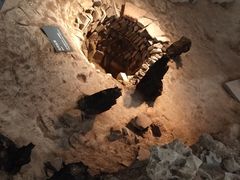 -南越王博物院(王宫展区)