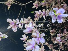 -北京理工大学(中关村校区)