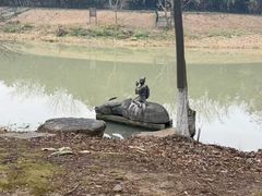 -幕燕滨江·长江观音景区