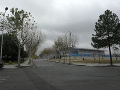 -同济大学(嘉定校区)