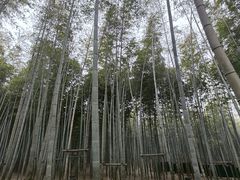 -陶祖圣境风景区