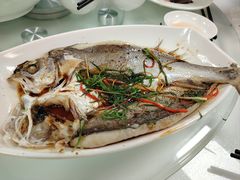 -日日香卤鹅饭店·澄海狮头鹅(澄海店)