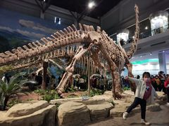 -自贡恐龙博物馆