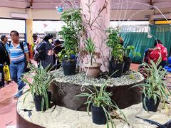 -长滩岛登岛码头