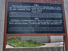 -王顺山国家森林公园