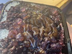 -上海长风大悦城